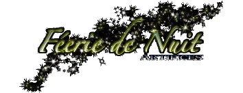 logo feerie de nuit