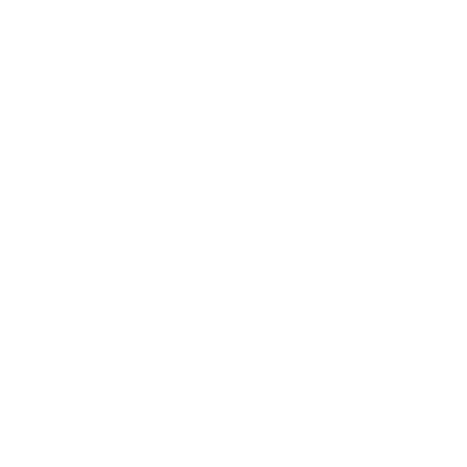 sécurité.webp
