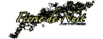 logo-feerie-de-nuit